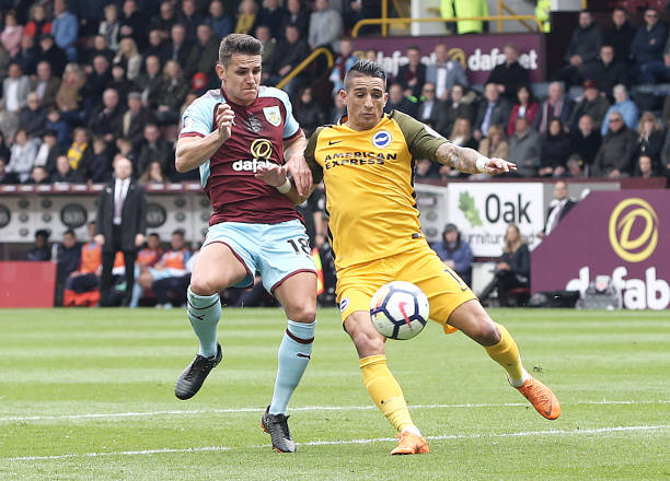 仅反映了他 仅反映了他