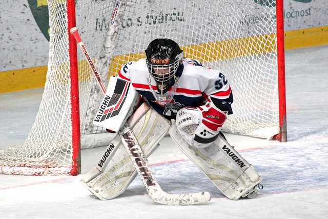 育媒体的焦 育媒体的焦