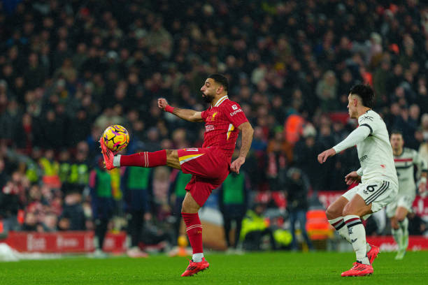 己的短传精 己的短传精